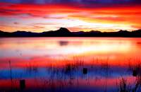 "Indigo Sunset" - Lake Moogerah